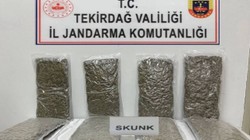 Tekirdağ'da Otoyol Gişelerinde  12 Kilo Uyuşturucu Yakalandı