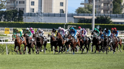 Gazi Koşusu Heyecanı Bugün Yaşanacak! Dev Ödül