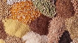 Ne Karabuğday Ne de Yulaf! Kalbi Güçlendiren En Faydalı Tahıl Belli Oldu
