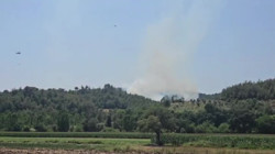 Osmaniye'deki Alevler Büyümeden Söndürüldü