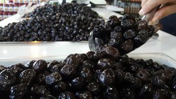 Türkiye'den Almanya'ya Gönderilen Siyah Zeytinde Bakteri Riski