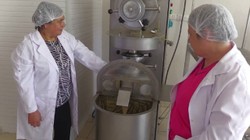7 Kadın Birleşip Yapıyor, Tüm Türkiye'ye Satıyor: Bir Kez Yiyen Unutamıyor, Herkes Kapısında Kuyruk Oluyor