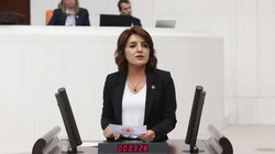 CHP’li Gülcan Kış’tan 'İklim Yasası' Çıkışı: 'Türkiye’ye ve Mersin’e İhanet'