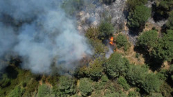 Sultangazi Kent Ormanı'nda Yangın