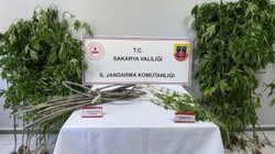 Sakarya'da Uyuşturucu Operasyonu: 1 Kişi Tutuklandı