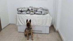Bingöl’de 49 Kilo Esrar Bulundu
