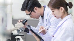 Japon Bilim İnsanlarından Şaşırtan Araştırma: Cilt Yaşlanmasına Karşı Koyuyor, Geni Aktifleştiriyor