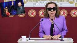 AKP'ye Geçen Serap Yazıcı Özbudun'dan Tuhaf Savunma, Gelecek Partisi'nden 'Kandırıldık' Paylaşımı