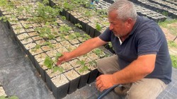 Uludağ’da Cesur Hasat: Türkiye’de Bir İlk! Hata Lüksü Yok Dediler, 700 Bin TL Yevmiye Ödediler