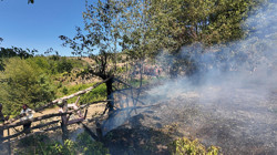 Düzce'de Korkutan Örtü Yangını