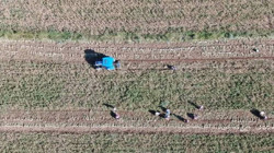 Coğrafi İşaretli Hasat Devam Ediyor