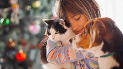 Evcil Hayvanı Olanlar Dikkat! Bakanlık Duyurdu, Tehlikeli Olduğu İçin Toplatılıyor