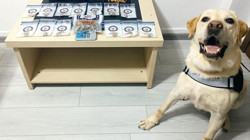 Muğla’da Zehir Tacirlerine Darbe! 17 Operasyonda 5 Tutuklama