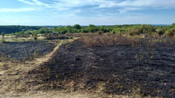 Londra'daki Yangın Kontrol Altına Alındı