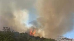 Muğla Milas’ta Tarım Arazisinde Yangın