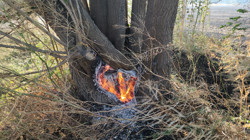 Amasya'da Ormana Sıçrayan Yangın Söndürüldü