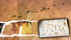 Anadolu’nun 954 Yıllık Büyük Sırrı! Herkes Merak Ediyordu, Tam 200 Tane…