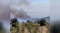 Bursa Karacabey’de Sazlık Alanda Yangın