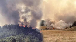 Ciğerlerimiz Yanıyor: Türkiye'nin Dört Bir Yanında Yangın!