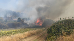 Tekirdağ Şarköy’de Orman Yangını Tarım Arazilerine Sıçradı