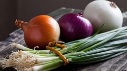 ABD'deki Marketlerde Listeria Alarmı: Soğanlar ve Sebzeler Acilen Toplatılıyor!