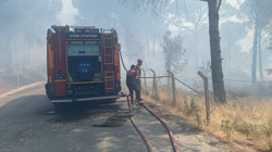 İzmir Bergama’da Anız Yangını Ormana Sıçradı: 16 Hektar Alan Küle Döndü