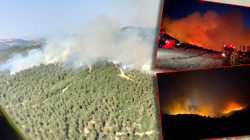 Ciğerlerimiz Yanıyor! Tekirdağ ve Balıkesir'deki Orman Yangınlarında Son Durum