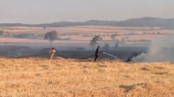 Tekirdağ'da Anız Yangını: 200 Dönüm Tarla Küle Döndü