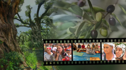 Ağaçların Nefesini Kesen Yasaya Karşı Mücadele Sürüyor: 'Biz Bitti Demeden Bitmez'