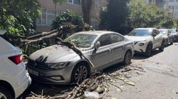 İstanbul'da Korku Dolu Anlar! Ölümden Kıl Payı Kurtuldu