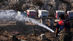 İzmir'de Otluk Alanda Çıkan Yangın Söndürüldü