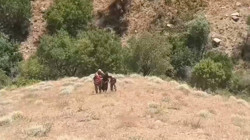 71 Yıl Hapis Cezasıyla Aranıyordu... Suç Makinesi 20 Yıl Sonra Yakalandı