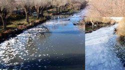 Gerede Çayı Kirleniyor, Mahkeme İzliyor