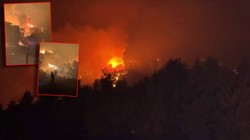 Sakarya'da Orman Yangını! Bir Mahalle Tahliye Edildi