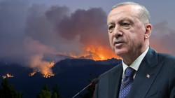 Eskişehir'deki Orman Yangınında 10 Acı Kayıp... Cumhurbaşkanı Erdoğan'dan Taziye Mesajı