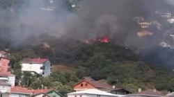 İstanbul'da Korkutan Orman Yangını