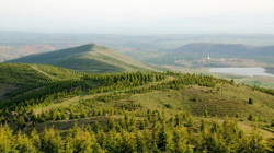 Şırnak'ta Yangın Önlemi! Ormanlara Giriş Yasaklandı