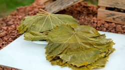 Avrupa'da 'Üzüm Yaprağı' Alarmı! Türkiye'den Gelen Ürünler Toplatılıyor