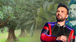 Tarkan’ın Sözleri Sosyal Medyayı Ayağa Kaldırdı! Vicdanları Yaralayan Zeytin Yasasına Çok Konuşulan Tepki