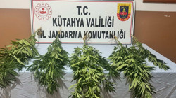 Kütahya’da Uyuşturucu Operasyonu