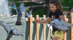 Ankaralılar Sıcak Havada Parklara Akın Etti