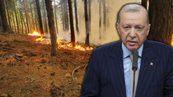 Yangınlarla Mücadelede Son Durum Ne? Cumhurbaşkanı Erdoğan Açıkladı