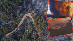 Ülkenin Dört Bir Yanı Alev Alev! Bakan Yumaklı Açıkladı! Yangınlarda Son Durum Ne?