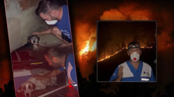 Alevlerin Ortasında Zamanla Yarış! Minik Dostlar İçin Vefa Nöbeti Sürüyor