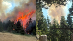 Çankırı'da Korkutan Orman Yangını