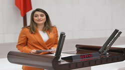 CHP’li Aysu Bankoğlu’ndan Yangın Çıkışı: 'Gerçek Bir Bekâ Meselesi'