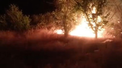 Malatya Darende'de Ot Yangını