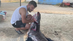 Türkiye-Yunanistan Sınırında Bulundu! Tam 73 Kilo