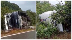 Sakarya Kocaali’de Beton Mikseri Fındık Tarlasına Devrildi