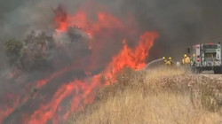 California'da Orman Yangını! 12 Bin Hektardan Fazla Alan Kül Oldu